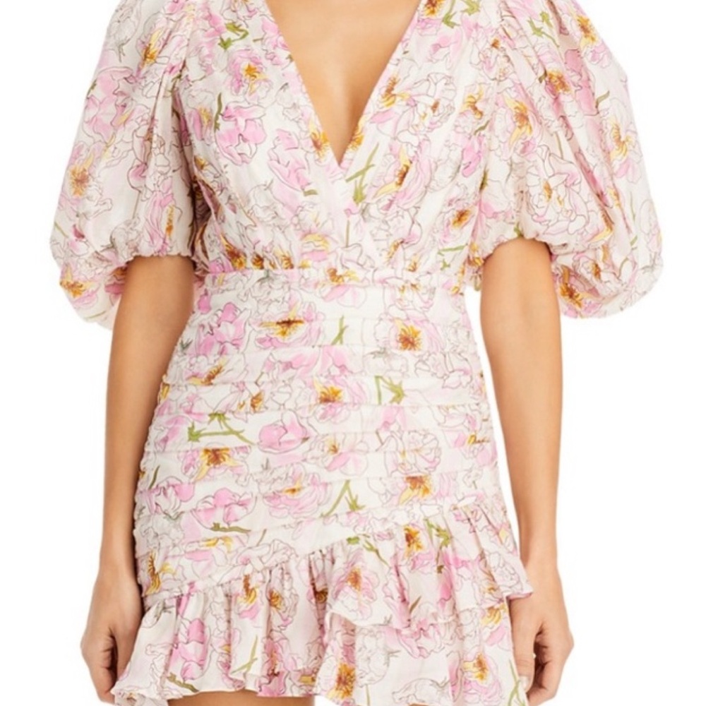 Sau Lee Posey Dress